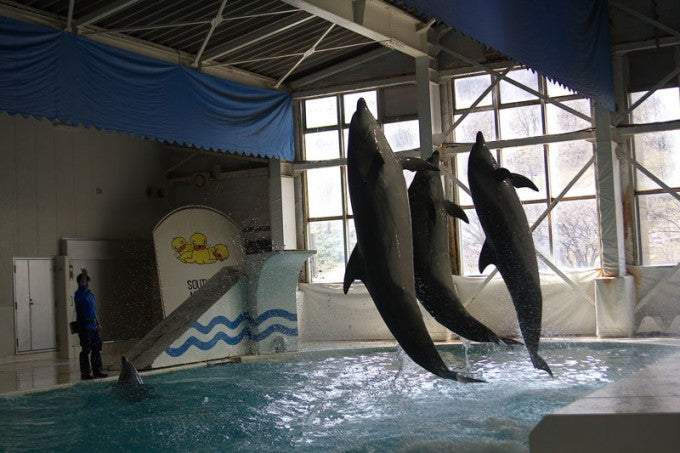 おたる水族館