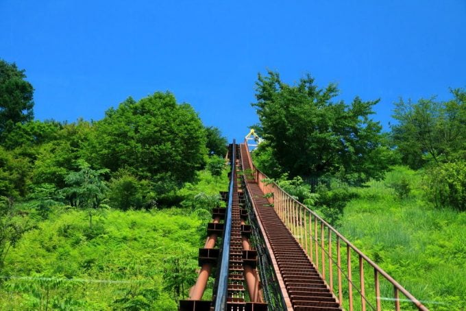 南八ヶ岳花の森公園