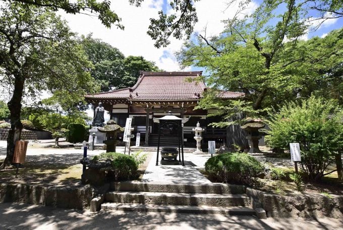 山高神代桜