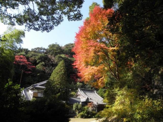 御橋観音寺