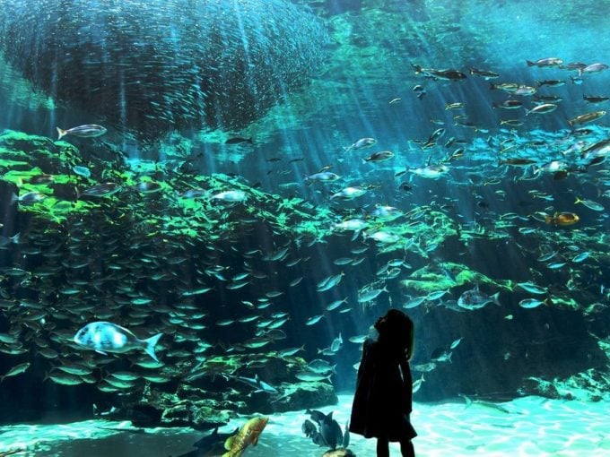 長崎 インスタ映え 海きらら