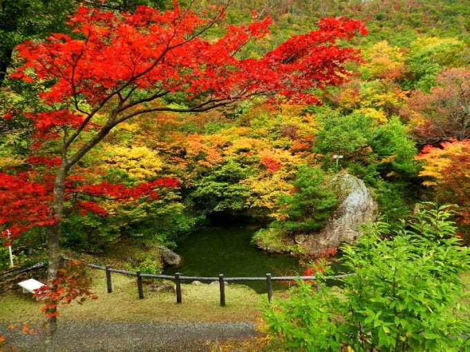 紅葉山公園