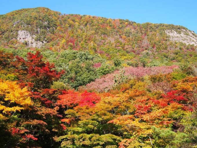 紅葉山公園
