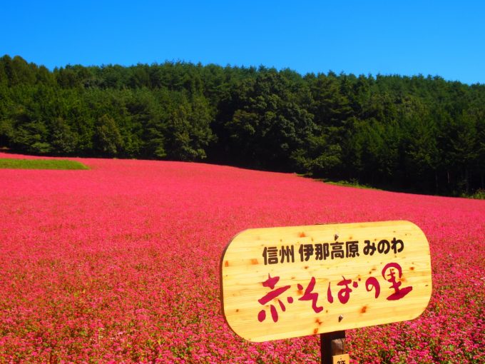 絶対行きたいイベント4選