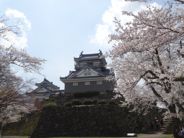 越前大野城