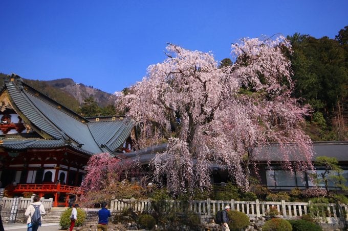 身延山久遠寺