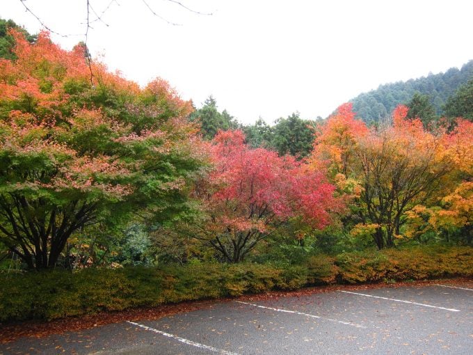 鈍川渓谷