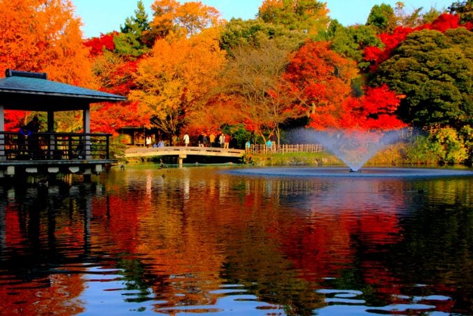 高岡古城公園